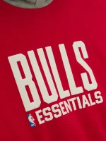 Essentials Bulls Hoodies